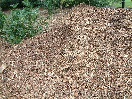 Mulch - Euci 